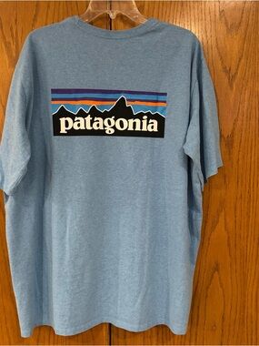 EUC Patagonia Responsible Tee Men's 2XL Regular Fit Classic Back Graphic Tee